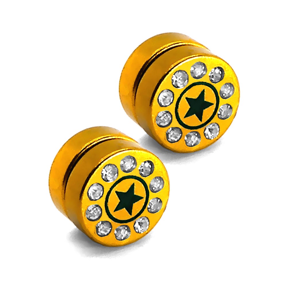 2 Magnet Fakeplugs Piercing Golden Fake Plug Magnetisch Clips Ohne Loch 6-12mm 